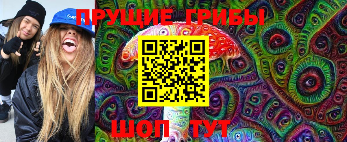 Галлюциногенные грибы MAGIC MUSHROOMS  Псилоцибиновые грибы GOLDEN TEACHER  Шелехов  Вход с VPN 
