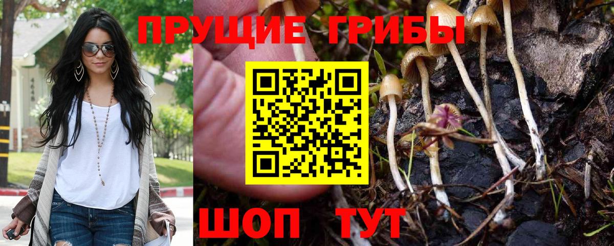 Псилоцибиновые грибы прущие грибы Шелехов